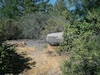 Photo of the Rock 2007