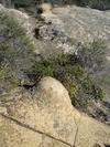 Photo of rock formations 2007